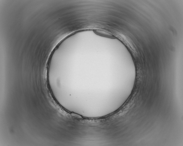 X0000112060900200909011000