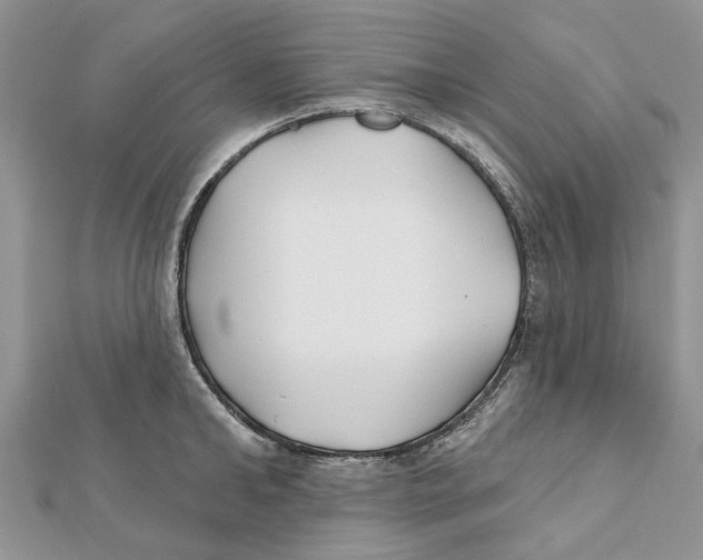 X0000112060902200909011000
