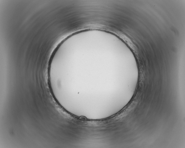 X0000112060904200909011000