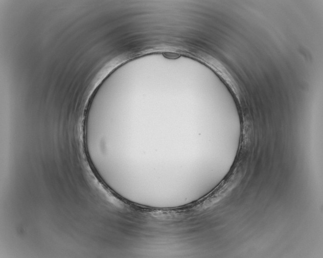 X0000112060906200909011000