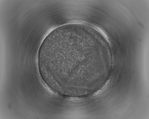 X0000112060907200909011000