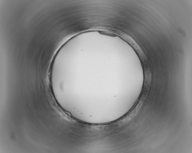 X0000112060908200909011000