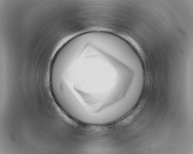 X0000112060910200909011000