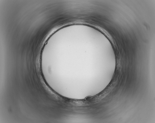 X0000112060911200909011000