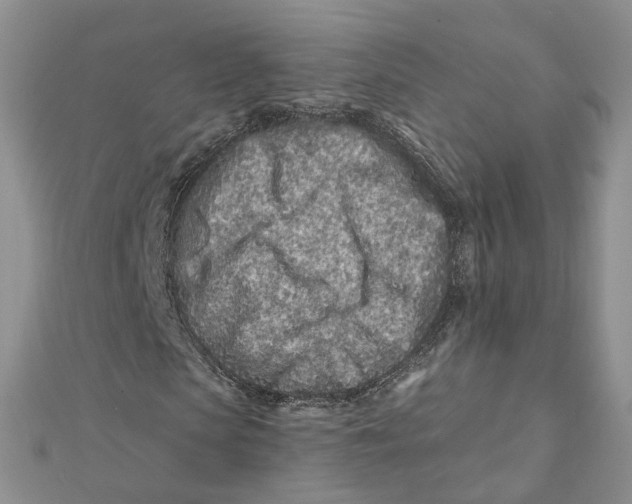 X0000112060913200909010959