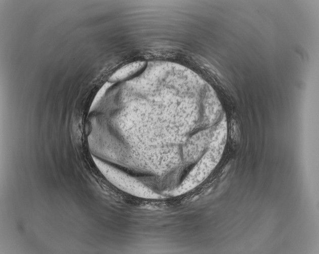 X0000112060915200909010959
