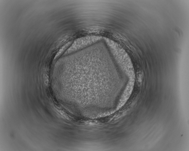 X0000112060916200909010959
