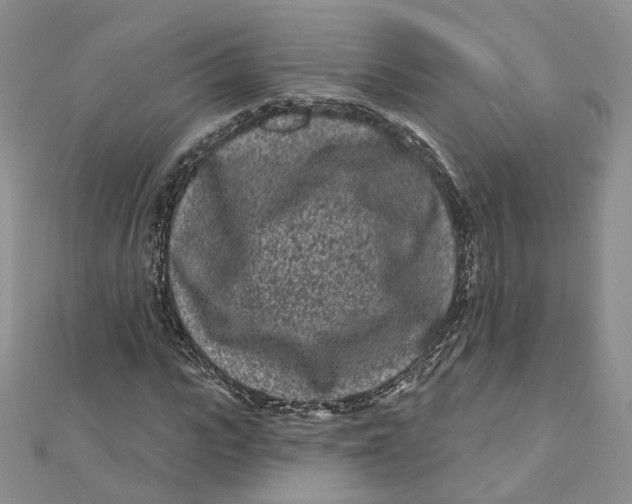 X0000112060919200909010959