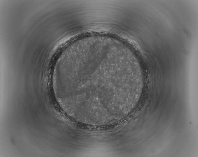 X0000112060920200909010959