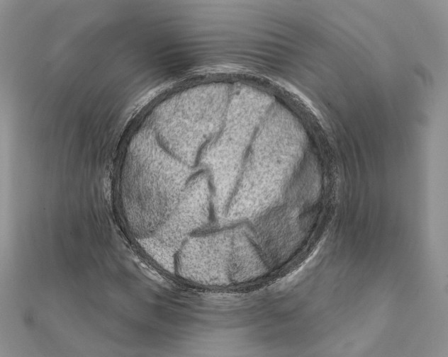 X0000112060921200909010959