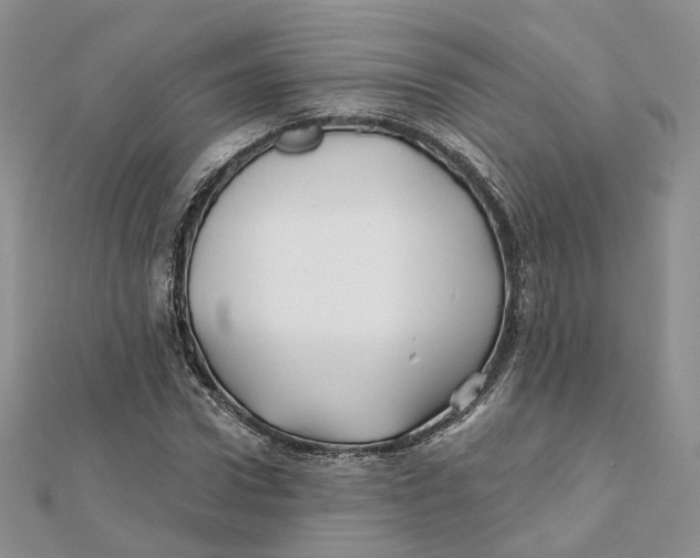 X0000112060922200909010959