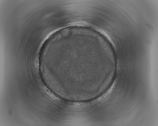 X0000112060923200909010959