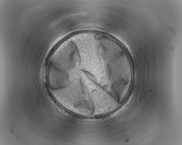 X0000112060925200909010959
