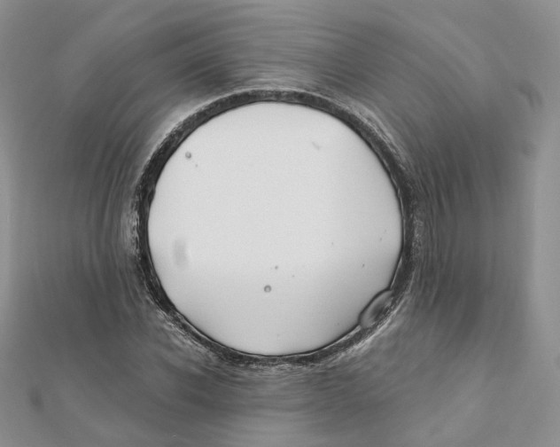X0000112060926200909010959