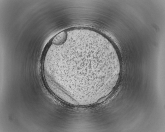 X0000112060928200909010959