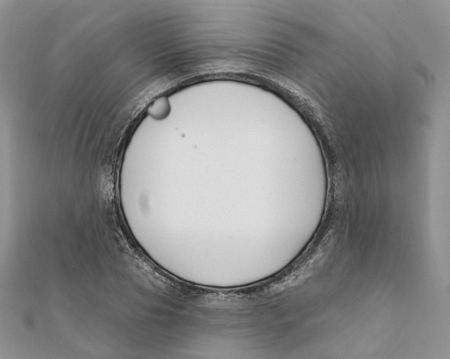 X0000112060929200909010959