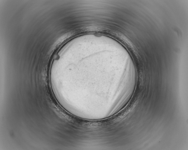 X0000112060930200909010959