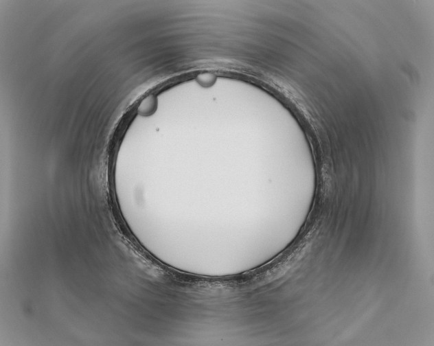X0000112060931200909010959