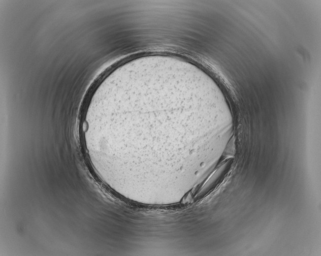 X0000112060932200909010959