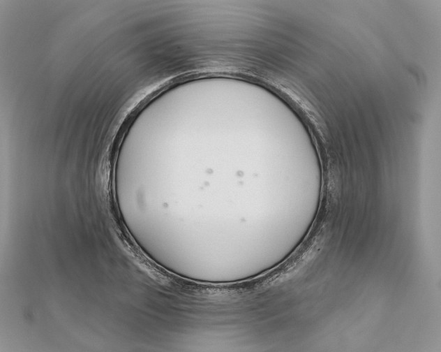 X0000112060933200909010959