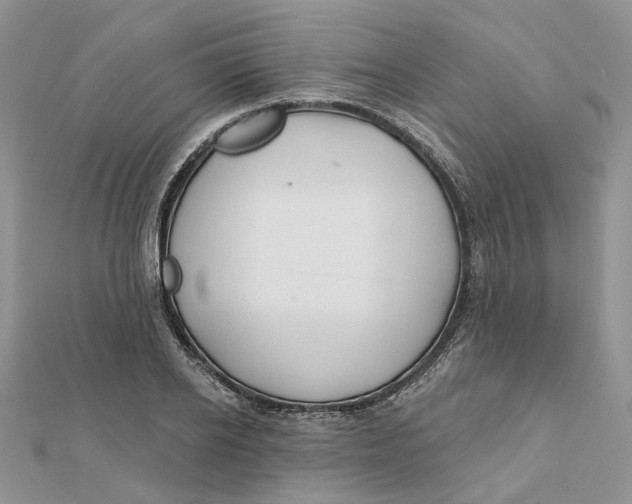 X0000112060934200909010959