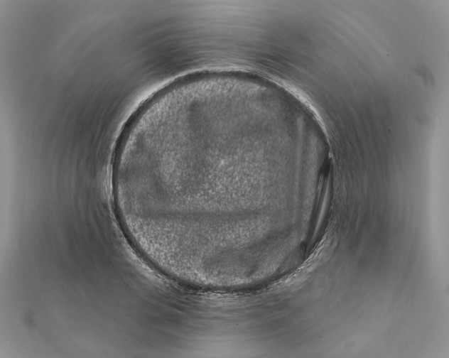 X0000112060935200909010959