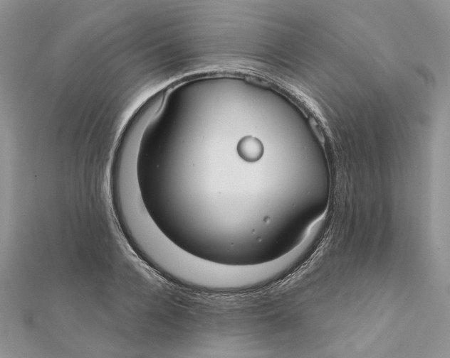 X0000112060936200909010959
