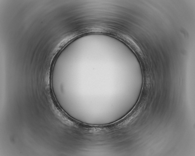 X0000112060938200909010959