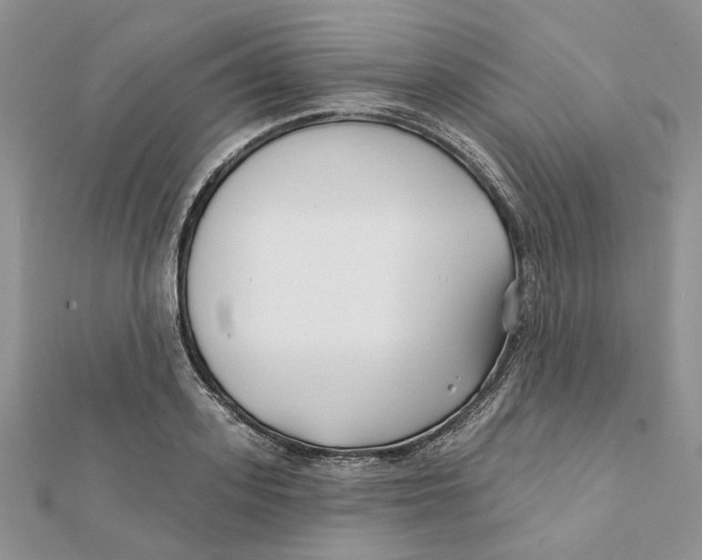 X0000112060939200909010959