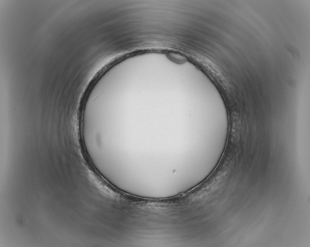 X0000112060942200909010959