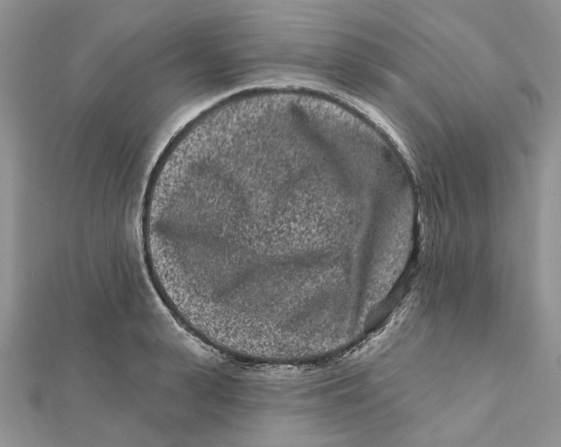 X0000112060943200909011000