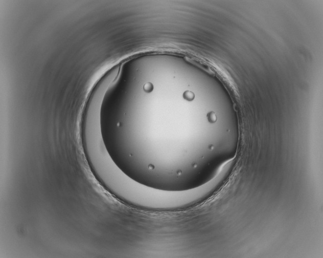 X0000112060944200909011000