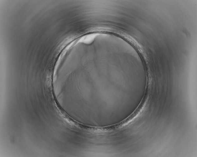 X0000112060945200909011000