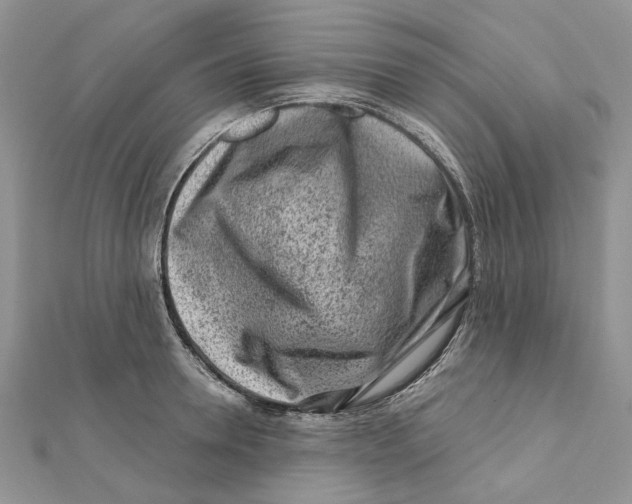 X0000112060946200909011000
