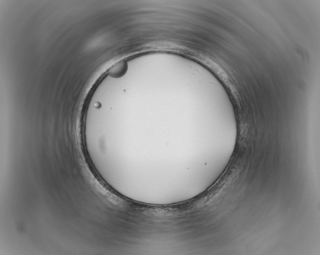 X0000112060947200909011000