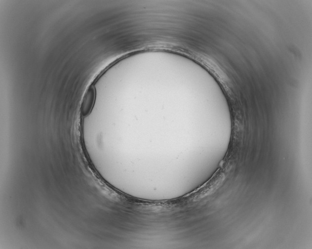 X0000112060948200909011000