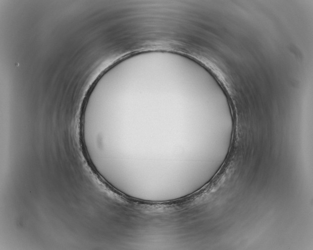 X0000112060949200909011000
