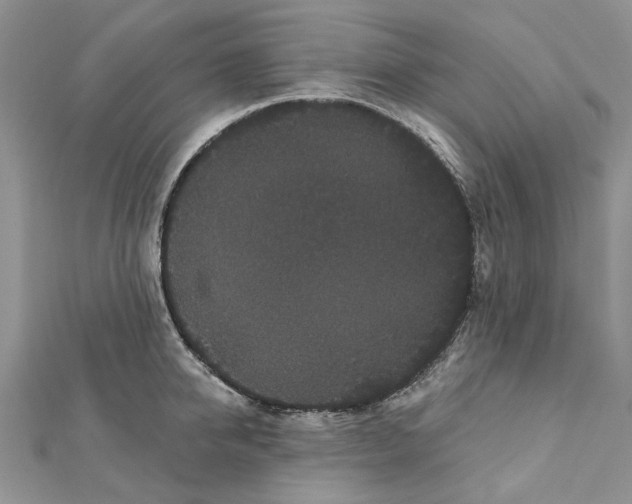 X0000112060950200909011000