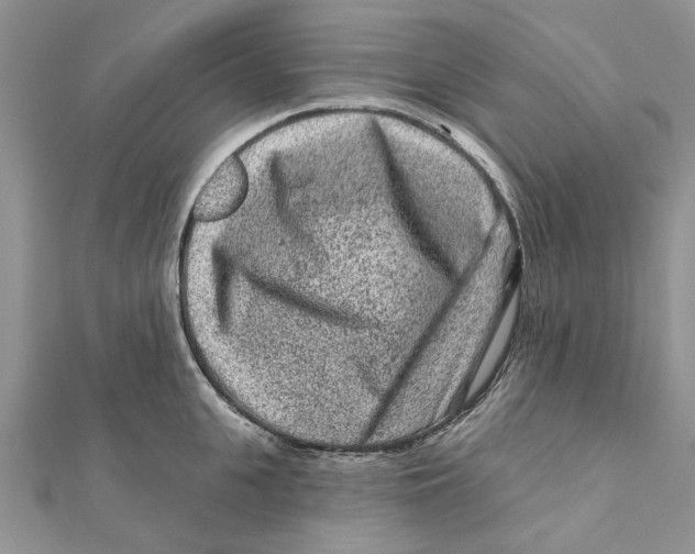 X0000112060951200909011000