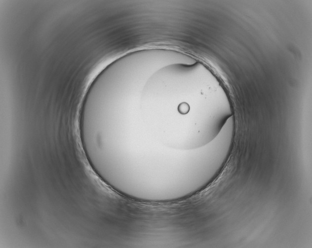 X0000112060952200909011000