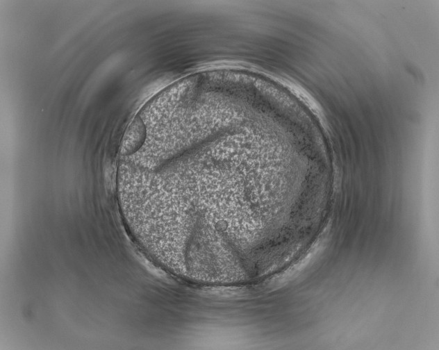 X0000112060953200909011000