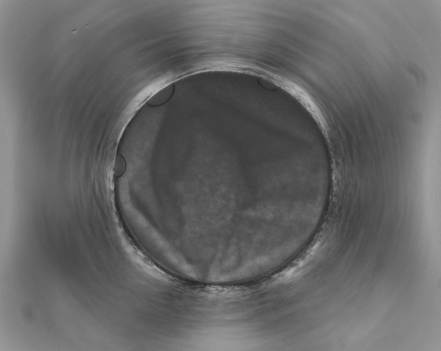 X0000112060954200909011000