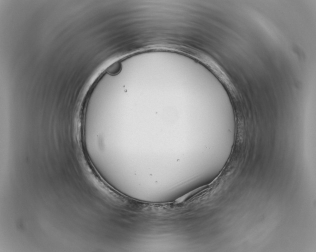 X0000112060955200909011000
