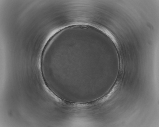 X0000112060958200909011000