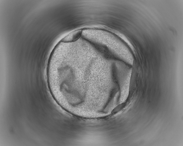 X0000112060959200909011000