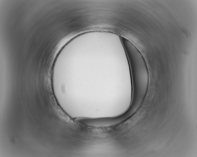 X0000112060960200909011000