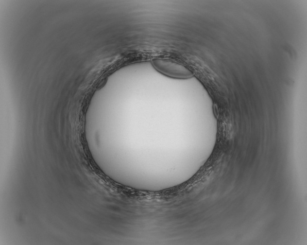 X0000112060961200909010959