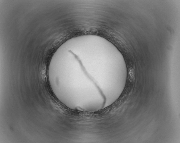 X0000112060963200909010959