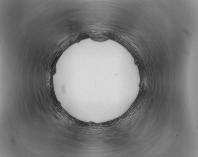 X0000112060964200909010959