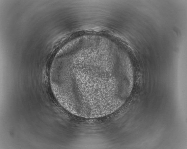 X0000112060966200909010959